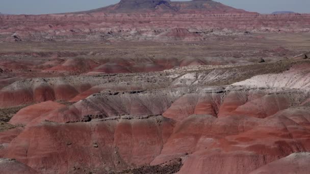 Arizona Horské Erodované Krajiny Zkamenělý Les Národní Divočiny Malované Pouště — Stock video