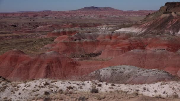 Arizona Mountain Eroded Landscape Petrified Forest National Wilderness Area Painted — Stock Video