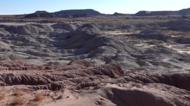 Güneşli bir günde Boyalı Çöl. Çeşitli tortu kayaları ve kil suyla yıkanmış. Taşlaşmış Orman Ulusal Parkı, ABD, Arizona