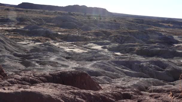 Beschilderde Woestijn Een Zonnige Dag Diverse Sedimentaire Rotsen Klei Weggespoeld — Stockvideo