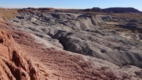 Deserto Pintado Num Dia Ensolarado Diversas Rochas Sedimentares Argila Lavada — Vídeo de Stock