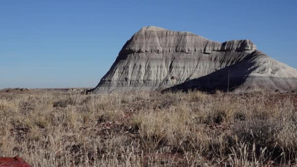 Trunks Petrified Trees Multi Colored Crystals Minerals Petrified Forest National — Stock Video