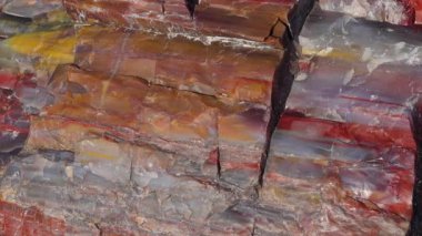 Taşlaşmış ağaç gövdeleri, çok renkli mineral kristalleri. Yakın plan. Taşlaşmış Orman Ulusal Parkı, Arizona