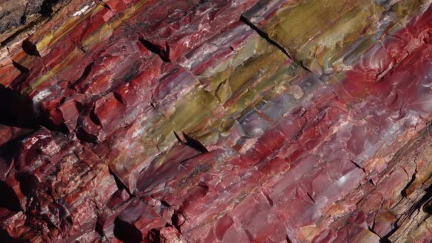 Los Troncos Árboles Petrificados Cristales Multicolores Minerales Primer Plano Parque — Vídeos de Stock