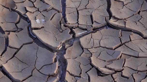 Arcilla Roja Agrietada Sal Blanca Superficie Lecho Río Seco Desierto — Vídeos de Stock