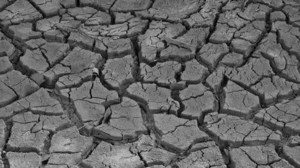 美国新墨西哥州沙漠中干涸的河床表面的碎红土和白盐 — 图库视频影像