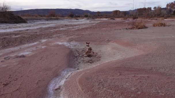 Arcilla Roja Agrietada Sal Blanca Superficie Lecho Río Seco Desierto — Vídeo de stock