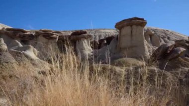 Farmington, New Mexico yakınlarındaki San Juan 'da Ah-Shi-Sle-Pah Yaban Hayatı Çalışma Alanında erozyonun oluşturduğu garip kumtaşı oluşumları.. 