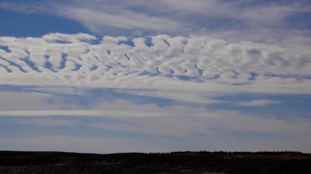 Witte Wolken Van Verschillende Vormen Boven Woestijn New Mexico Shi — Stockvideo