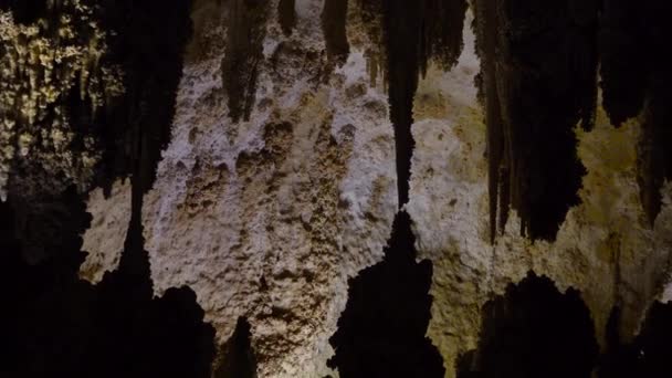 新墨西哥州一个岩溶洞穴中的史达林和石笋 — 图库视频影像