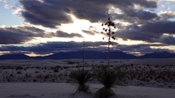 Stormy Clouds Evening Sunset Sand Dune White Sands National Monument — Stock Video