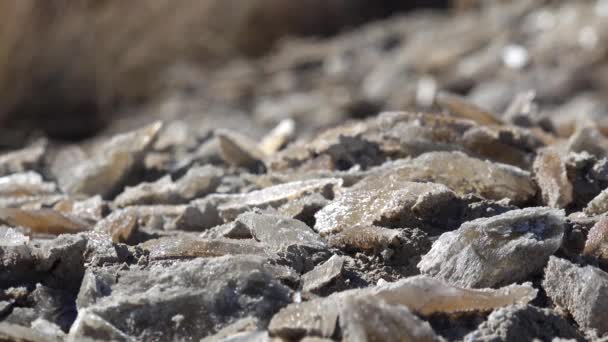 Grandes Cristales Gitano Barro Desierto Arizona Cerca Del Lago Sal — Vídeo de stock