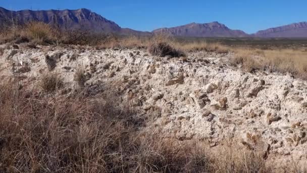 Nagy Gipszkristályok Agyagban Arizonai Sivatagban Sós Fehér Homok Nemzeti Park — Stock videók