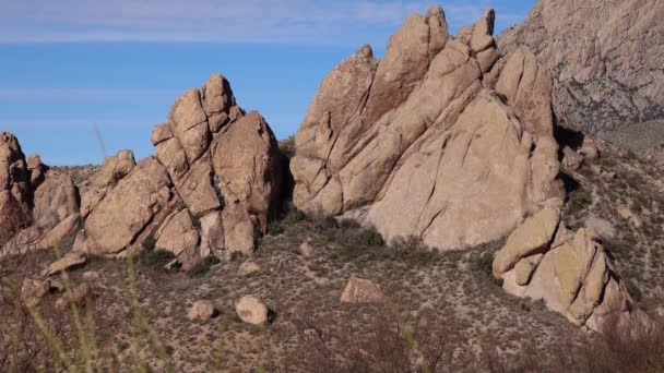 Dağ Oluşumları Cacti Ile Çöl Manzarası Arizona — Stok video