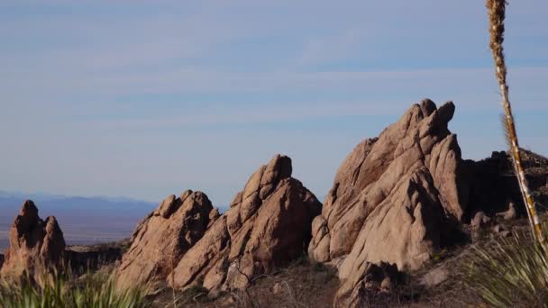 Yucca Cacti Paesaggio Montano Delle Scogliere Rosse Arizona Stati Uniti — Video Stock