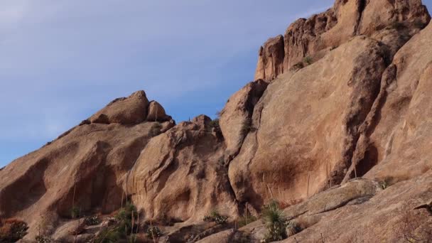 Yucca Cacti Paisaje Montañoso Los Acantilados Rojos Arizona — Vídeos de Stock