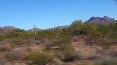 Ajo Dağı Yolu, Organ Boru Kaktüsü Ulusal Anıtı 'ndan geçen asfaltsız toprak bir yol. Yol boyunca Sagurao kaktüsleri var. ABD, Arizona