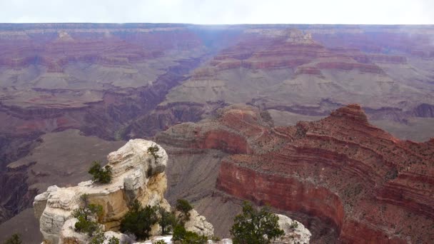 Panorámás Kilátás Nyílik Folyóra Völgy Vörös Sziklák Grand Canyon Nemzeti — Stock videók