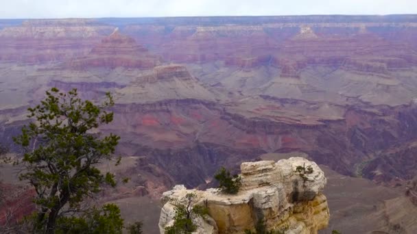 Vista Panorámica Del Valle Del Río Rocas Rojas Grand Canyon — Vídeo de stock