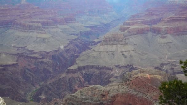 Panoramisch Uitzicht Riviervallei Rode Rotsen Grand Canyon National Park Met — Stockvideo