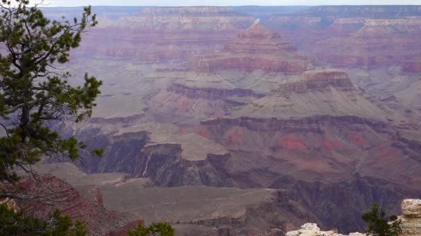 Panorámás Kilátás Nyílik Folyóra Völgy Vörös Sziklák Grand Canyon Nemzeti — Stock videók