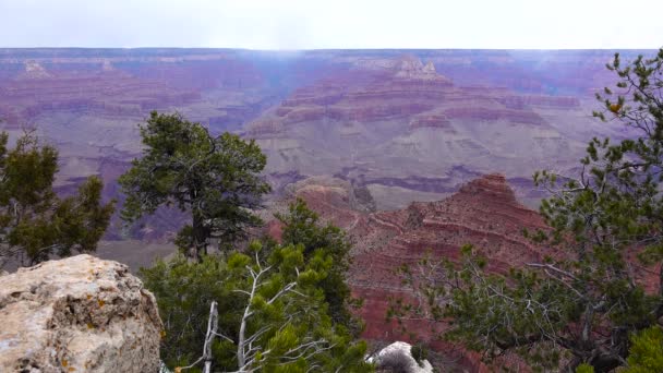 Panorámás Kilátás Nyílik Folyóra Völgy Vörös Sziklák Grand Canyon Nemzeti — Stock videók