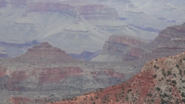 Vista Panorâmica Vale Rio Rochas Vermelhas Parque Nacional Grand Canyon — Vídeo de Stock