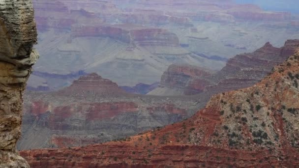 Panoramiczny Widok Dolinę Rzeki Czerwone Skały Park Narodowy Grand Canyon — Wideo stockowe