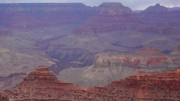 Panoramisch Uitzicht Riviervallei Rode Rotsen Grand Canyon National Park Met — Stockvideo