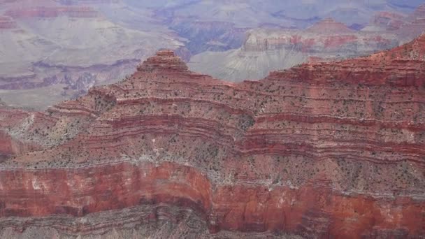 Panoramisch Uitzicht Riviervallei Rode Rotsen Grand Canyon National Park Met — Stockvideo