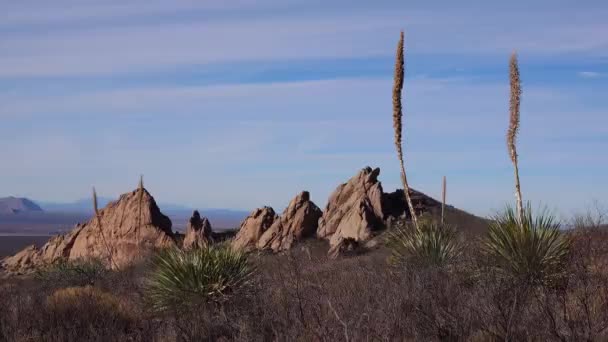 Yucca Und Kakteen Einer Gebirgslandschaft Mit Roten Klippen Arizona Usa — Stockvideo