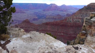 Nehir vadisi ve kızıl kayaların panoramik manzarası. Arizona, ABD 'deki Colorado nehri ile Grand Canyon Ulusal Parkı.