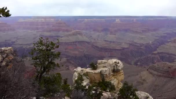 Vista Panorâmica Vale Rio Rochas Vermelhas Parque Nacional Grand Canyon — Vídeo de Stock