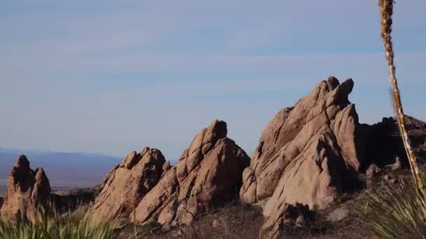 Yucca Och Kaktusar Ett Red Cliffs Mountain Landskap Arizona Usa — Stockvideo