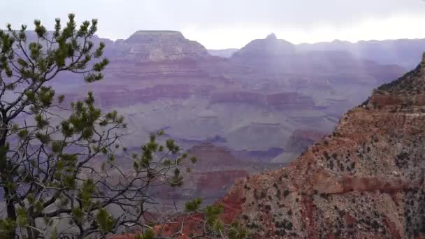 Panoramatický Výhled Údolí Řeky Červené Skály Grand Canyon National Park — Stock video