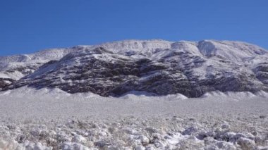 Kar fırtınası, Kaliforniya 'daki Ölüm Vadisi Ulusal Parkı yakınlarındaki bir dağ geçidinde çöl bitkilerinde kar.