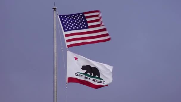 美国加利福尼亚 2019年11月27日 美国国旗和加州国旗在风中飘扬 — 图库视频影像