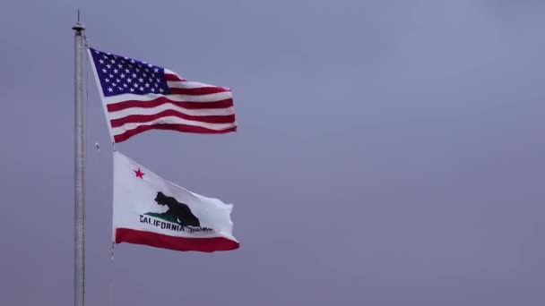 Kalifornia Usa Listopad 2019 Flaga Amerykańska Flaga Kalifornii Wisząca Wietrze — Wideo stockowe
