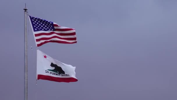 California Usa Novembre 2019 Bandiera Americana Bandiera California Sventolano Nel — Video Stock