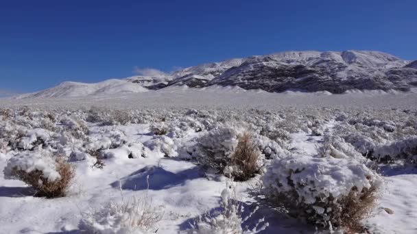 Kar Fırtınası Kaliforniya Daki Ölüm Vadisi Ulusal Parkı Yakınlarındaki Bir — Stok video