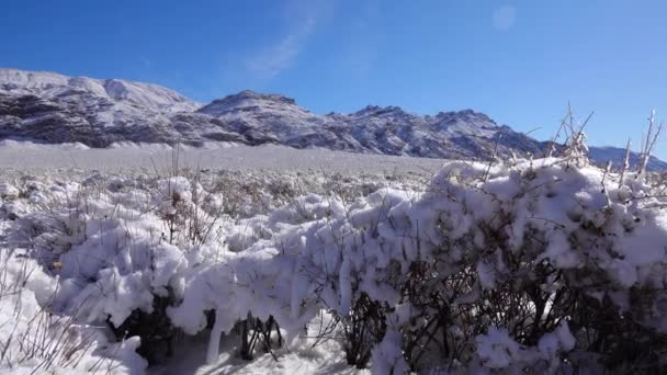 Ciclone Neve Neve Piante Desertiche Passo Montagna Vicino Death Valley — Video Stock