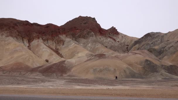 Wzgórza Kalifornijskiej Pustyni Różnych Kolorowych Formacji Gliny Pustynna Roślinność Wokół — Wideo stockowe