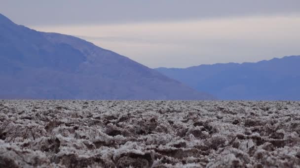 Vista Das Bacias Salinas Parque Nacional Vale Morte Vale Morte — Vídeo de Stock