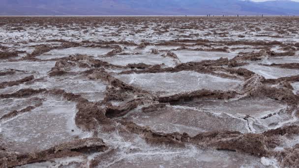 Blick Auf Die Salinen Des Basins Death Valley National Park — Stockvideo
