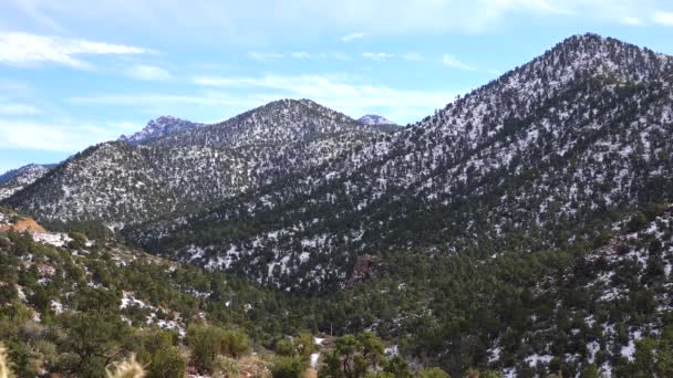 Góry Śniegu Konsekwencje Cyklonu Śnieżnego Gradem Górach Arizony Pustynne Rośliny — Wideo stockowe