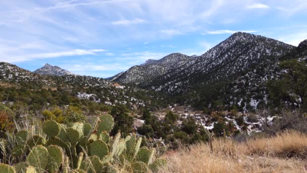 Montañas Nieve Las Consecuencias Ciclón Nieve Con Granizo Las Montañas — Vídeos de Stock