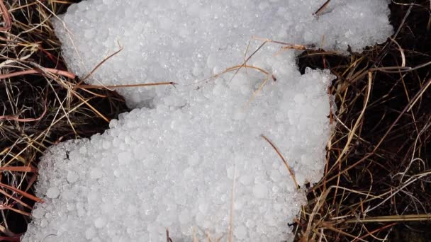 Sneeuwcycloon Met Hagel Bergen Van Arizona Ballen Van Ijs Hagel — Stockvideo