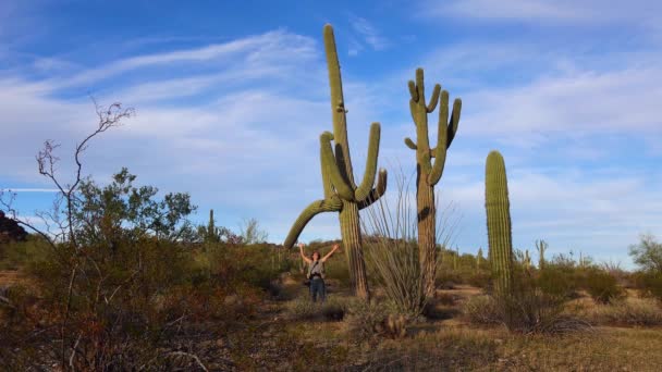 アリゾナ州 2019年11月30日 青い空 砂漠の風景に対するアリゾナ州の大きなサボテン アメリカ合衆国の砂漠にあるサガロ サボテン カーネギー ギガンティー — ストック動画