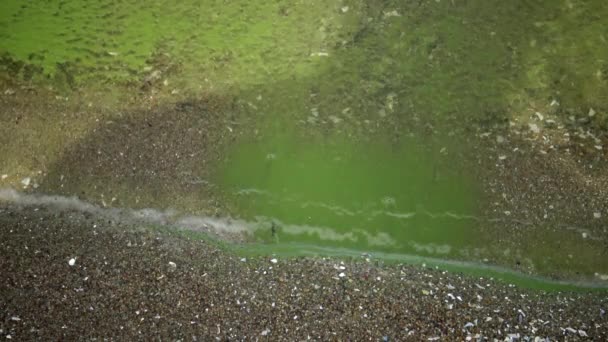 富栄養化 環境問題 汚染されたユートピック湖Yalpug オデッサ地域 ウクライナの青緑藻微生物相Aeruginosaの大量開発 — ストック動画