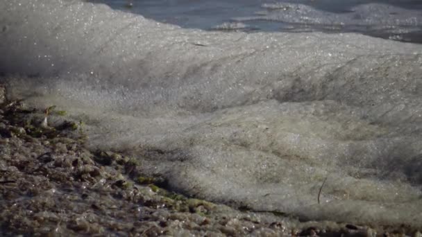 Грязная Пена Воде Берегу Моря Эвтрофикация Загрязнение Водохранилища Экологическая Проблема — стоковое видео